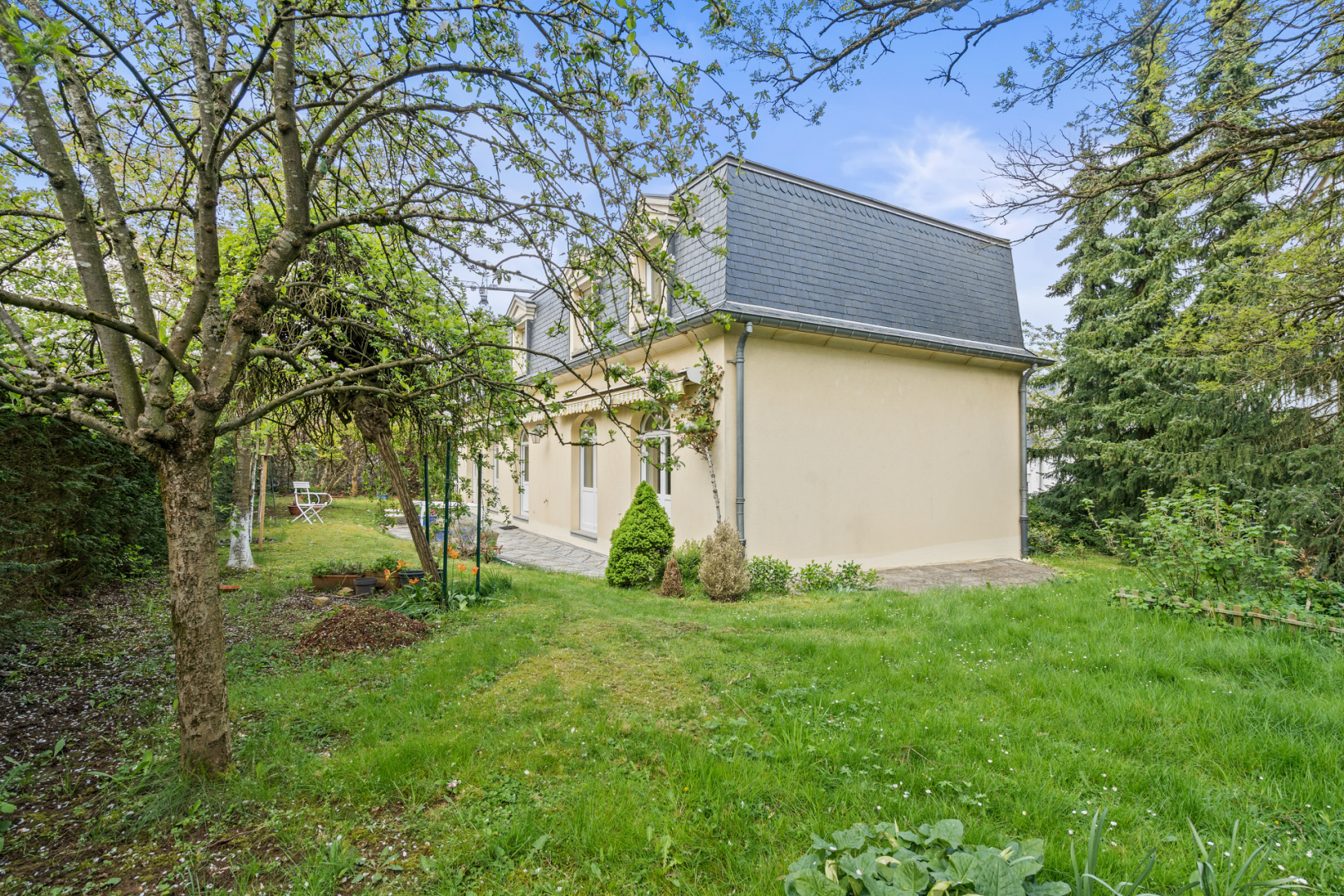 Image 15